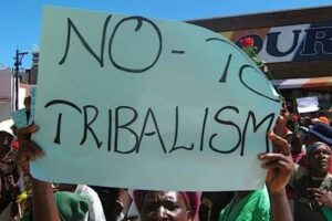 The Role of Education in Reducing Tribalism as a Cause of Insecurity in Nigeria