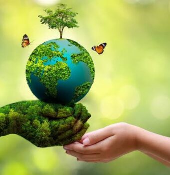 The Role of Education in Promoting Environmental Awareness