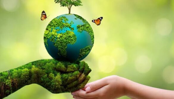 The Role of Education in Promoting Environmental Awareness
