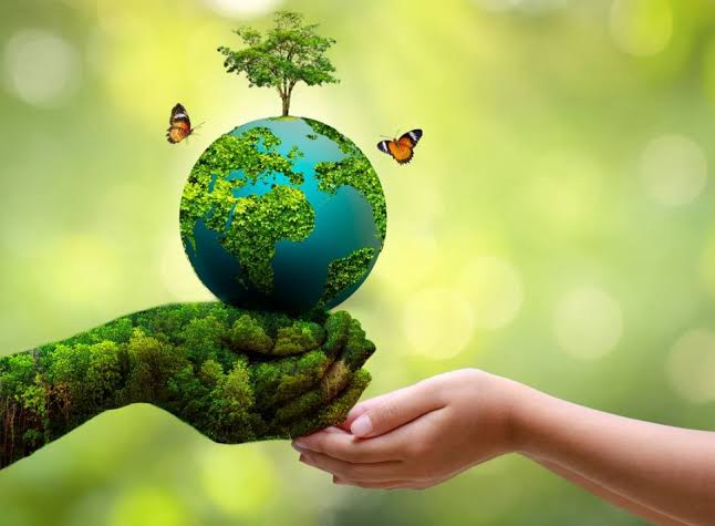 The Role of Education in Promoting Environmental Awareness