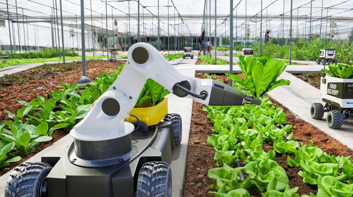 Agricultural Education: A Key to Innovation