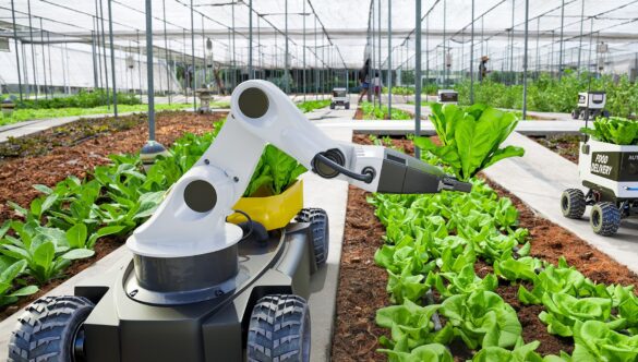 Agricultural Education: A Key to Innovation