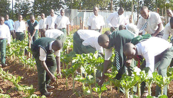 The Benefits of Agricultural Education for Students