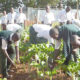 The Benefits of Agricultural Education for Students