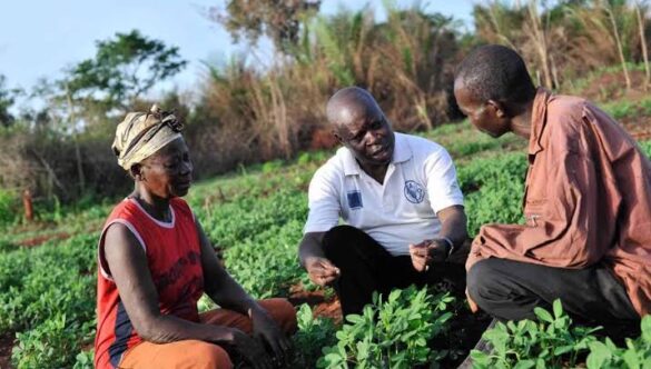 The Impact of Agricultural Education on Rural Communities