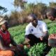 The Impact of Agricultural Education on Rural Communities