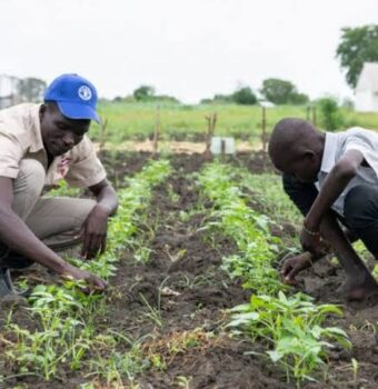 Agricultural Education: The Key to Sustainable Farming