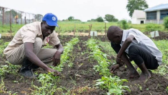 Agricultural Education: The Key to Sustainable Farming