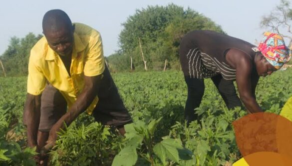 How Agricultural Education is Empowering Farmers for the Future