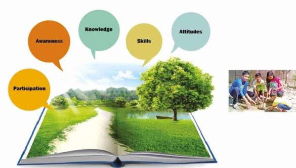 The Role of Agricultural Education in Environmental Conservation