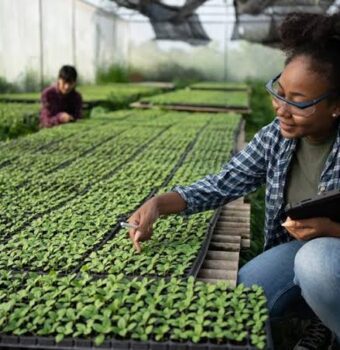 Agricultural Education: A Path to Career Success
