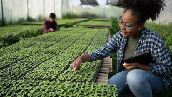 Agricultural Education: A Path to Career Success