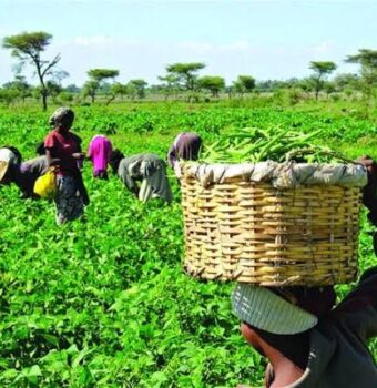 Agricultural Education: A Key to Food Security