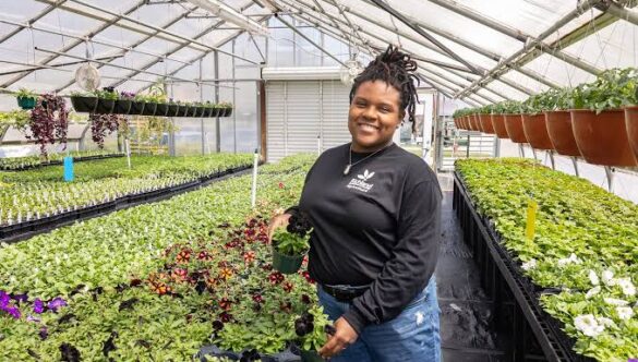 Agricultural Education: A Path to Economic Growth