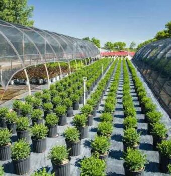 The Future of Agricultural Education: Trends an Innovations