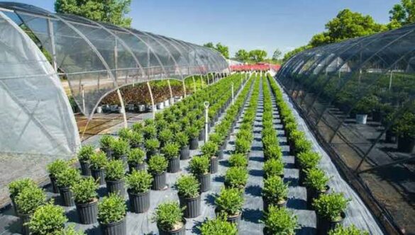 The Future of Agricultural Education: Trends an Innovations