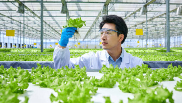 The Importance of Agricultural Education in Developing Countries