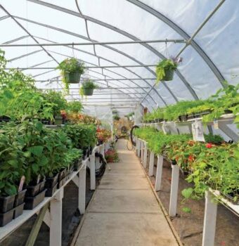 Agricultural Education: Bridging the Gap between Theory and Practice