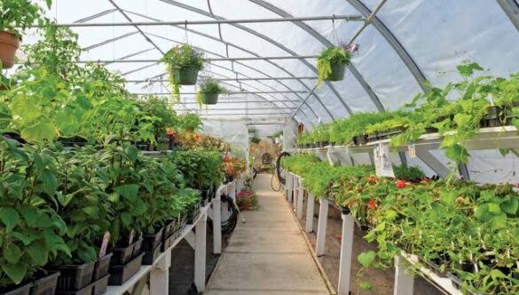 Agricultural Education: Bridging the Gap between Theory and Practice