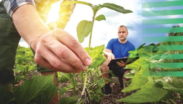 The Role of Agricultural Education in Climate Change Mitigation