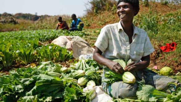 The Future of Food: Agricultural Education and Technology