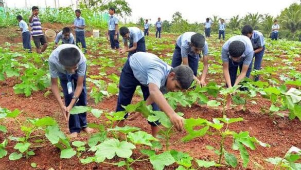The Importance of Agricultural Education in Schools and Colleges