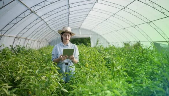 How Agricultural Education is Preparing Students for a Changing World
