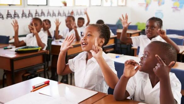 Education: The Role of Feedback in Student Learning