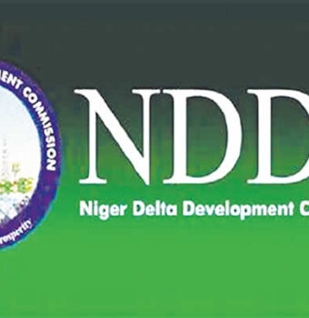 NDDC Celebrates Graduation of 300 Youths from Skills Development Programme