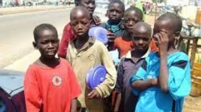 NUJ Raises Alarm Over Nigeria’s Out-of-School Crisis, Demand Digital Literacy Push