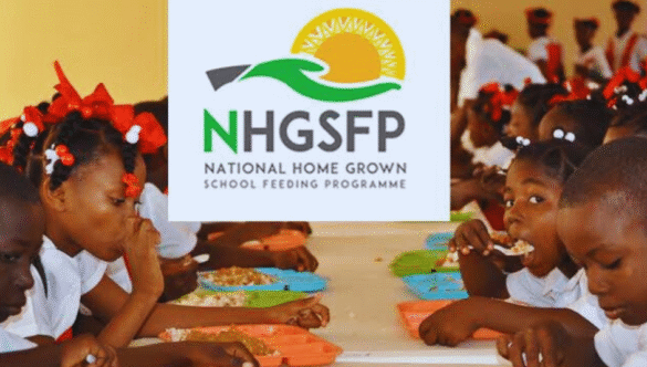 JUST IN: FG Unveils Plan to Feed 50 Million Pupils by 2026 Under Expanded School Feeding Programme