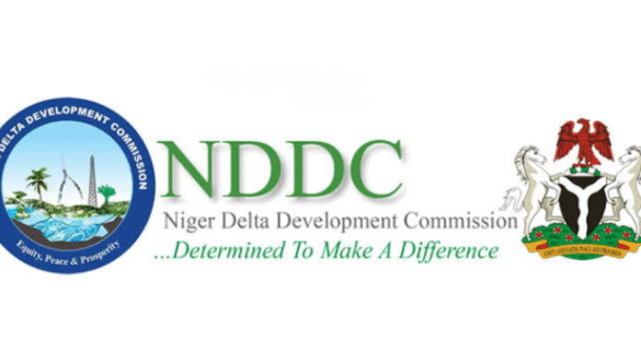 NDDC Urges Youth to Embrace Technology and Literacy for Global Competitiveness