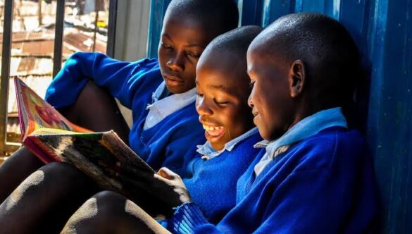 Organisation of Southern Cooperation Urges Africa to Redesign Curriculum for the Age of AI